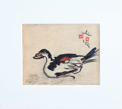 Ảnh của CON VỊT